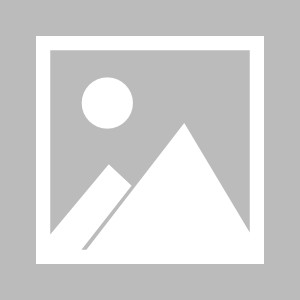 九游app-【夜读】蔡老板冤不冤？2.6亿美元换来的是被横扫